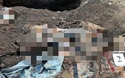 Серийный убийца