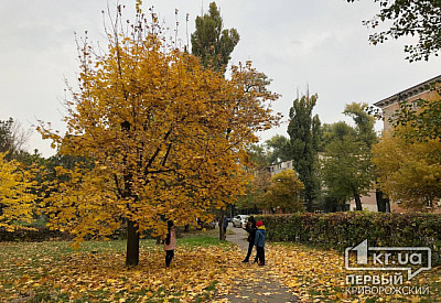 Фото к новости Главное фото новости