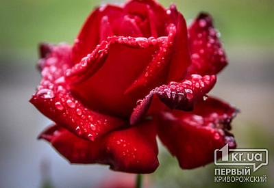 Фото к новости Главное фото новости