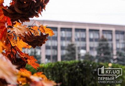 Фото к новости Главное фото новости