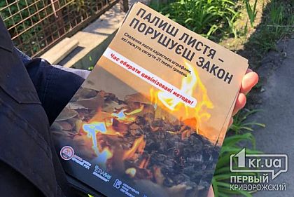 Животные гибнут, а люди — болеют: криворожанам напомнили о вреде и штрафах за сожжение листьев