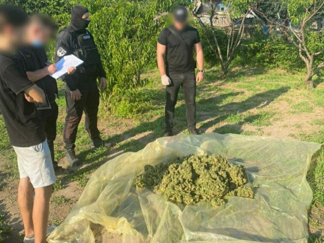 Взятка на миллион: в Днепропетровской области наркодиллеры предлагали деньги начальнику полиции
