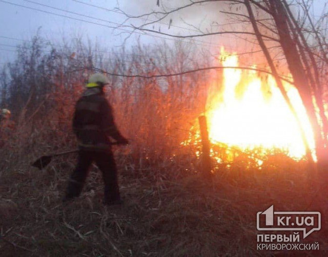 На территории Кривого Рога и Днепропетровской области ожидается высокая пожарная опасность