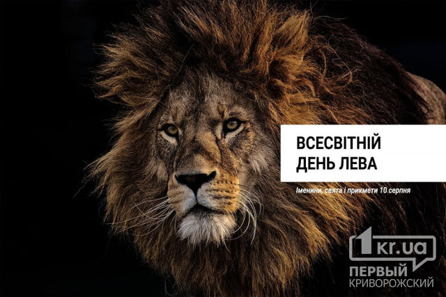 10 серпня — Всесвітній день лева