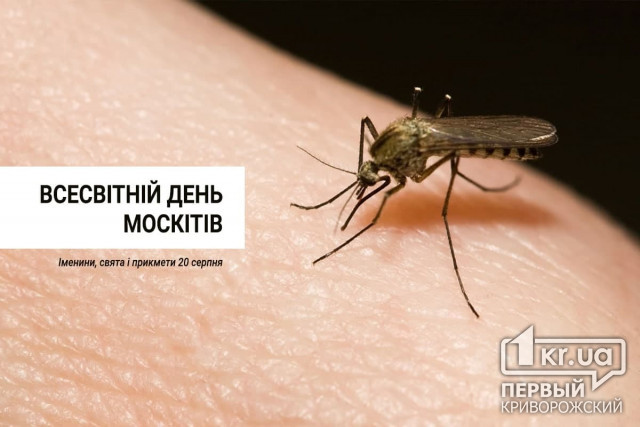 20 августа — Всемирный день комаров