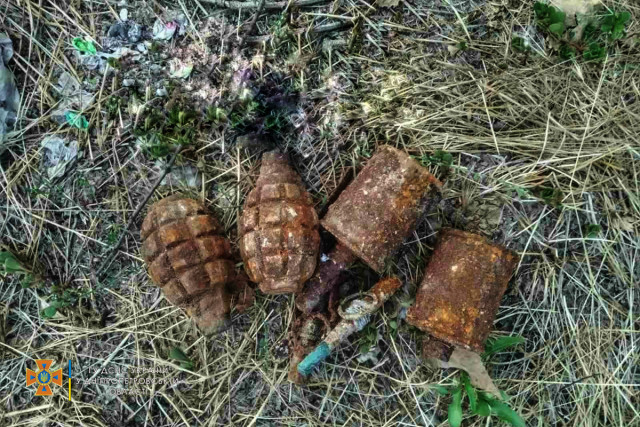 В Криворожском районе нашли устаревшие боеприпасы