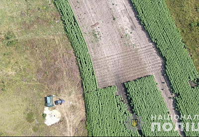 Фото к новости Главное фото новости