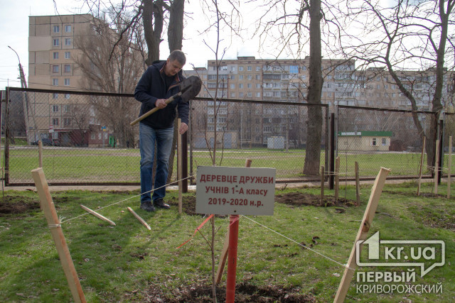 Криворізькі школярі з батьками висадили понад 100 дерев