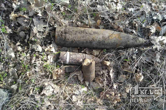 В Софиевском районе обезвредили 4 снаряда