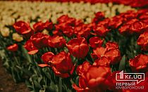 Фото новости