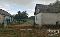 Фото новости