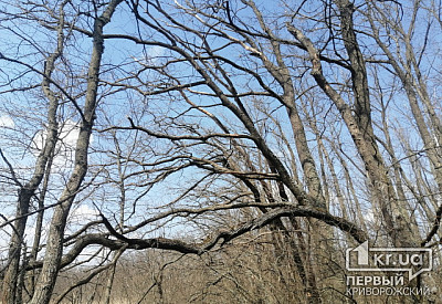 Фото к новости Главное фото новости