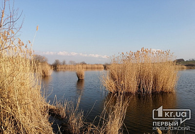 Фото к новости Главное фото новости