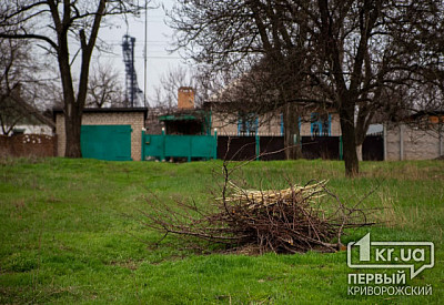 Фото к новости Главное фото новости