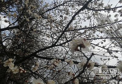 Фото к новости Главное фото новости