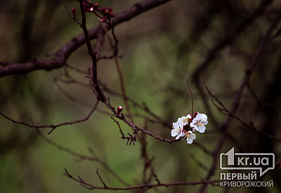 Фото к новости Главное фото новости