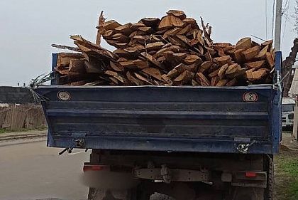 В Кривом Роге патрульные остановили водителя фуры, загруженной древесиной