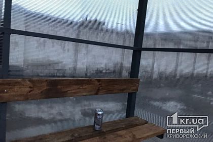 Криворожанин оштрафован за пьянку в общественном месте