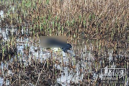 В криворожском водохранилище обнаружен труп пенсионерки