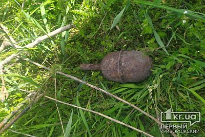 Криворожанин во время уборки обнаружил гранату