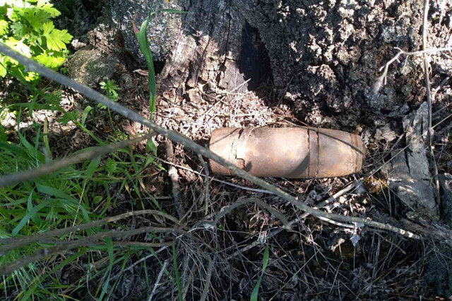 В селе недалеко от Криворожского района нашли устаревший боеприпас