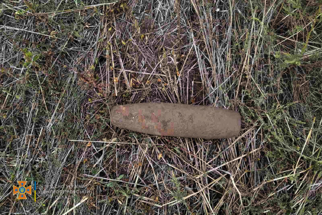 В селе недалеко от Кривого Рога нашли устаревший снаряд