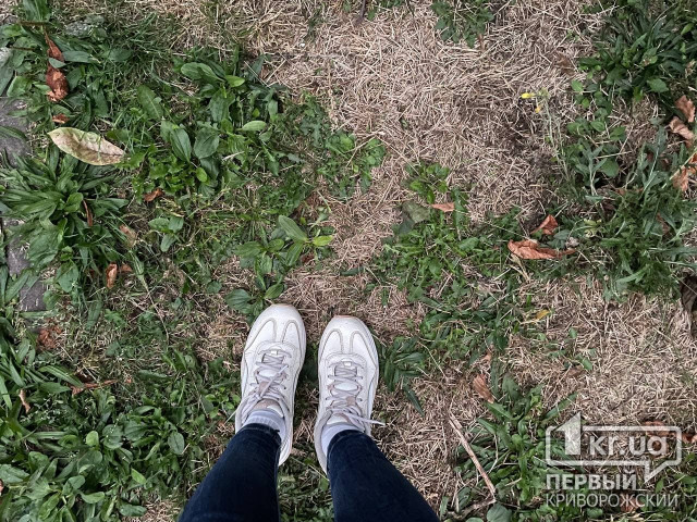 Как не промочить ноги осенью в период дождей