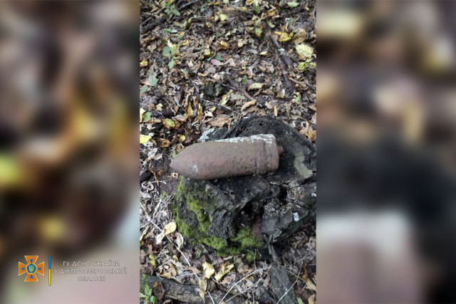 В Криворожском районе мужчина искал грибы, а нашел устаревший снаряд