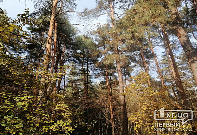 Фото к новости Главное фото новости