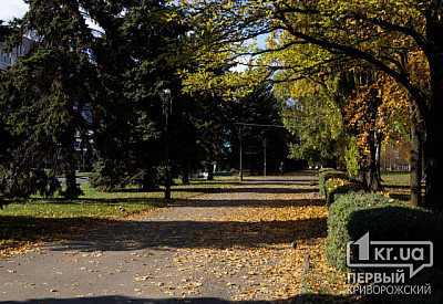 Фото к новости Главное фото новости