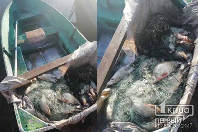 Нарушитель выловил в Криворожском районе рыбы на 8 тысяч гривен