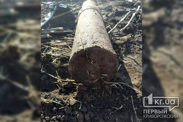 В лесополосе в Криворожском районе найдена реактивная мина
