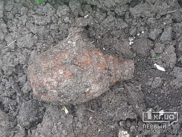 В Кривом Роге на кладбище обнаружили гранату