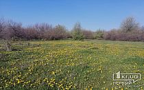 Фото новости