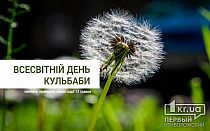 Фото новости