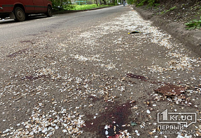 Фото к новости Главное фото новости