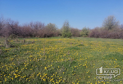 Фото к новости Главное фото новости