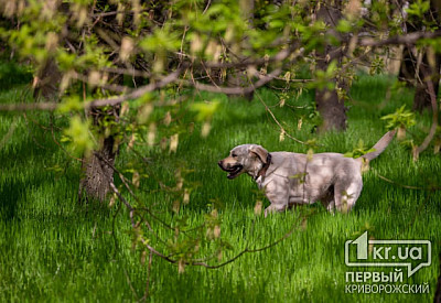 Фото к новости Главное фото новости