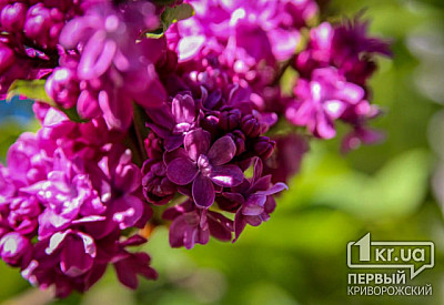 Фото к новости Главное фото новости