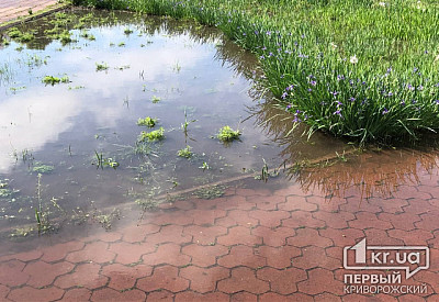 Фото к новости Главное фото новости