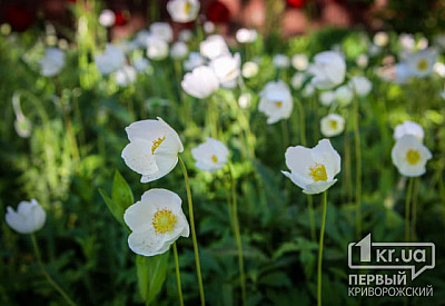 Фото к новости Главное фото новости