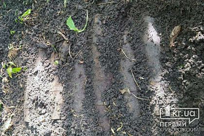 26 боеприпасов обнаружили в Софиевском районе