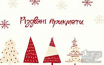 Фото новости