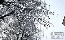 Фото новости
