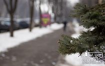 Фото новости