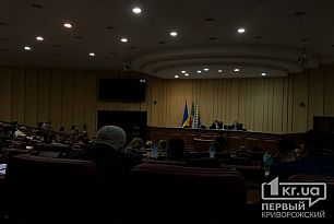 Депутати не підтримали петицію щодо повернення матеріальної допомоги тяжкохворим дітям