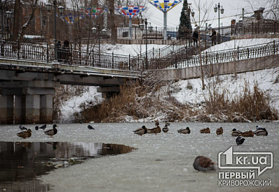 Фото к новости Главное фото новости
