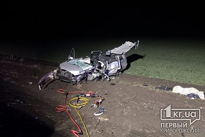Мужчина погиб в результате ДТП под Кривым Рогом