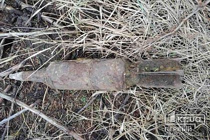 Криворожанка пасла коз и нашла снаряд