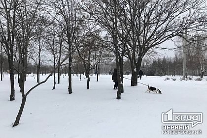 Как выглядит Кривой Рог в первый день снегопада